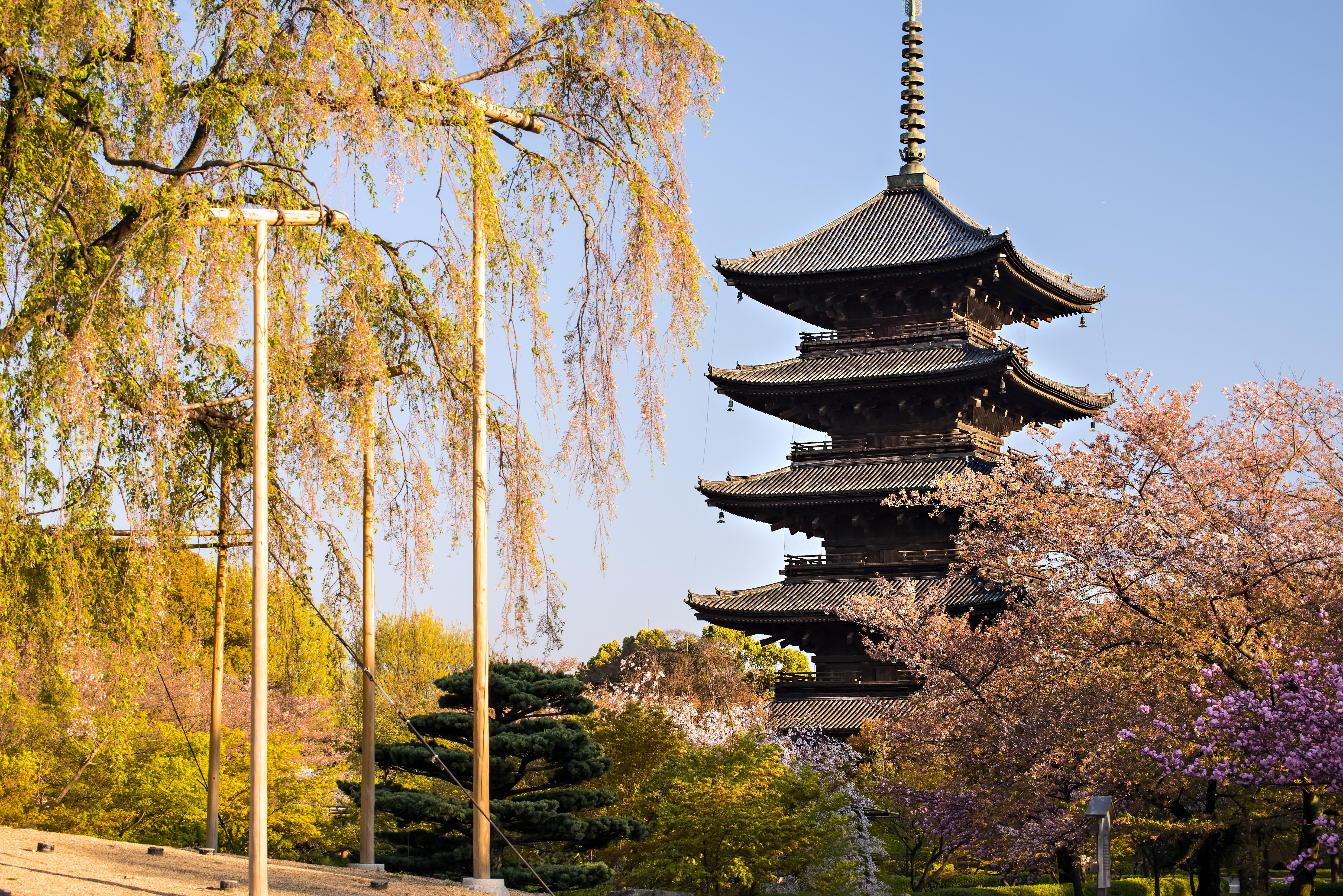Best Things to do in Nara in 2026 - Withlocals