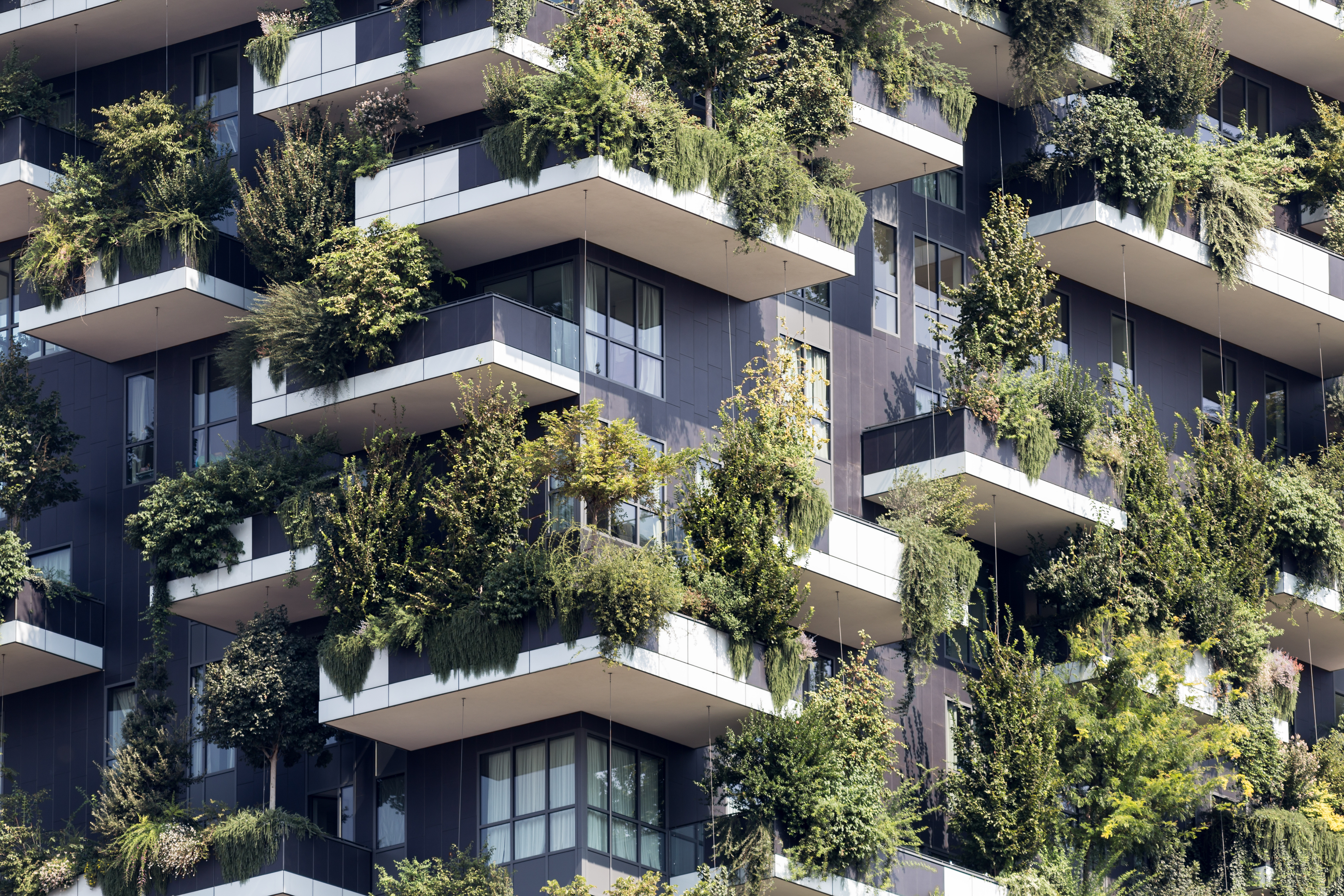 Past Meets Future: An Architectural Journey Through Milan - Withlocals