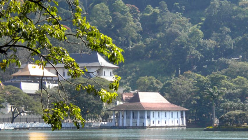 Kandy Tours - Best Tours in Kandy of 2023 - Withlocals