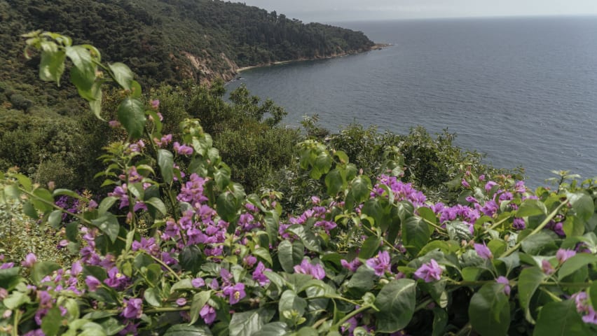 Hiking Tours In Istanbul Find The Best Hiking Tours In Istanbul Withlocals