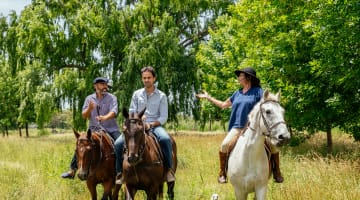 Traditional Gaucho Experience Horse Riding Wine q Withlocals