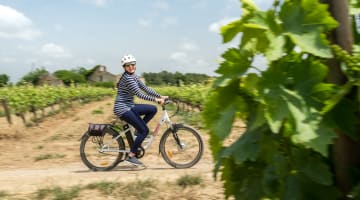 wine bike tour