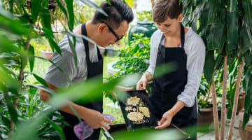Traditional Thai Gold Leaf Painting Workshop Withlocals