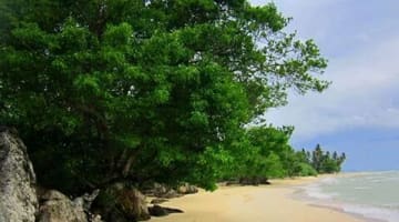 An Unspoiled Hidden Beach In Badian Withlocals