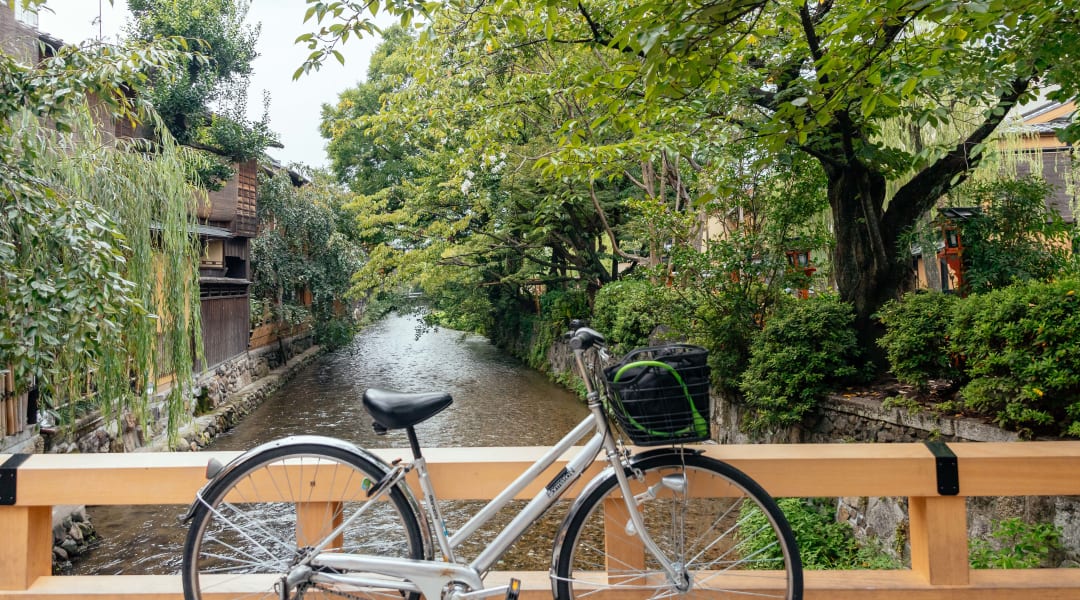 The Beauty of Kyoto by Bike Tour Withlocals