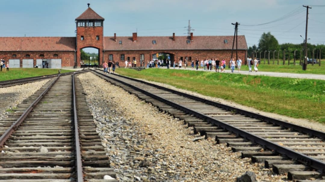 Auschwitz Birkenau Guided Tour With Private Car Pick Up Withlocals