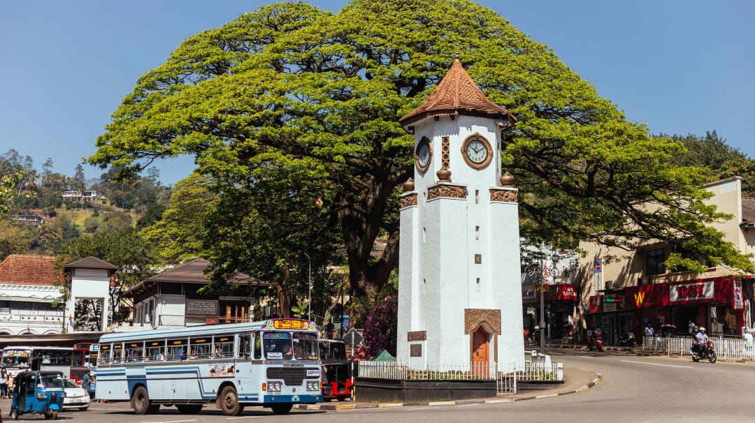 Sri Lanka Day Trips Best Day Trips In Sri Lanka Withlocals