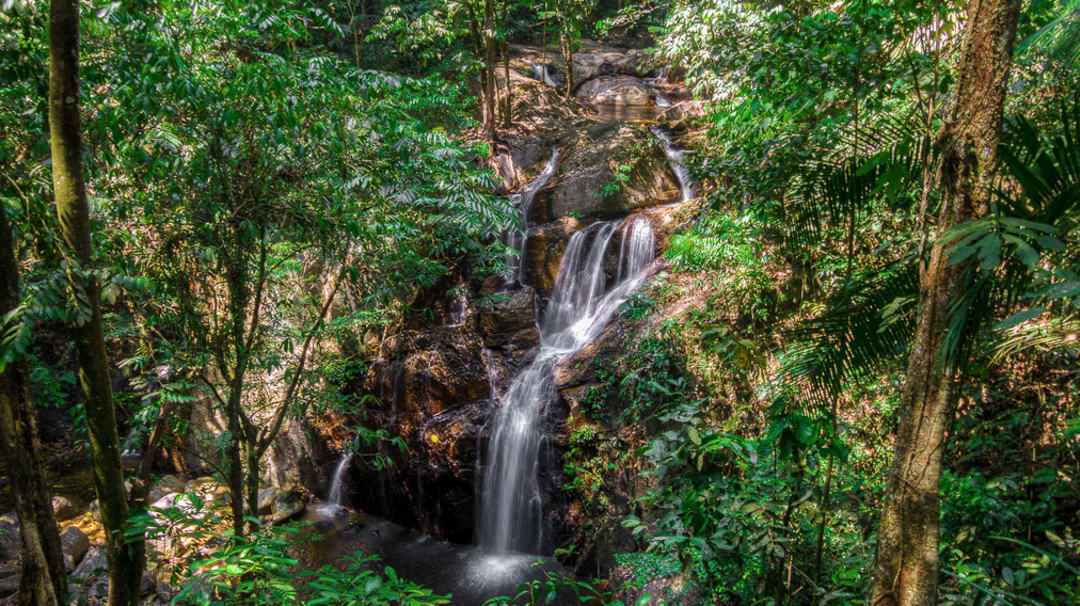 Chute D Eau Magique Et Randonnee Dans La Jungle Withlocals