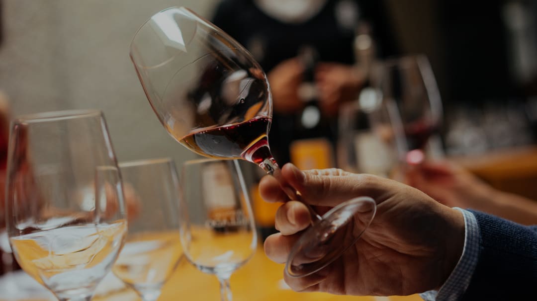 Italian Wine Tasting With Two Local Sommeliers Withlocals