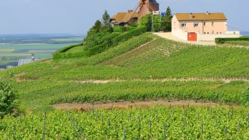 Paris' Best Private Day Trips