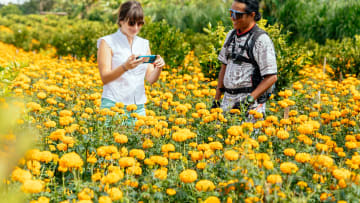 Half day tour Bali