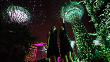 Gardens by the Bay Tours