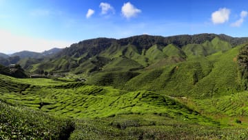 Kuala Lumpur's Best Private Day Trips