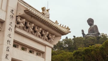 Tian Tan Buddha Tours in Hong Kong