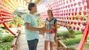 Walking Tours in Seoul