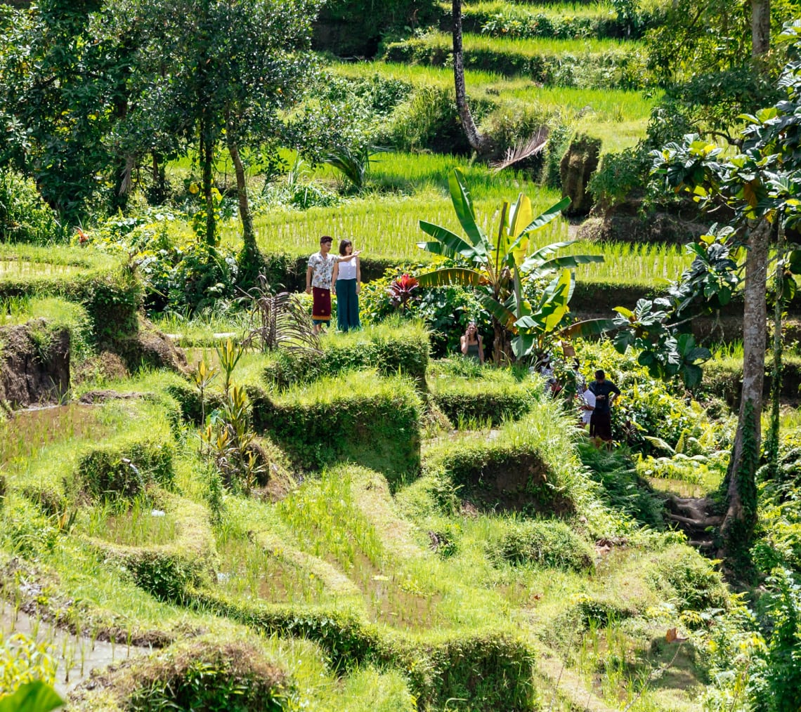 Best Of Bali Day Trip Highlights Hidden Gems Ubud Withlocals