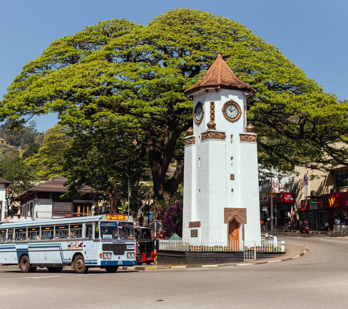 Meilleure Excursion D Une Journee A Kandy Nature Culture Withlocals