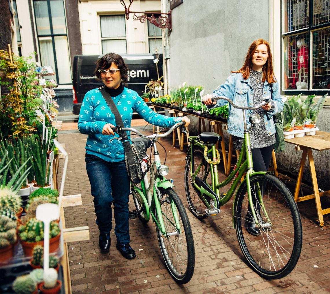 go anywhere bike
