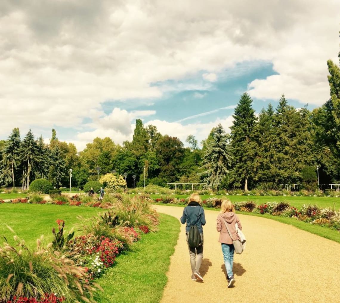 Tour Dell Isola Di Santa Margherita A Budapest Withlocals