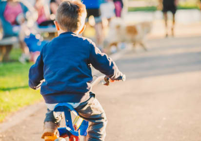 Family Bike Tour: Discover Valencia! in Valncia - 057dad95cfc608db10ee154f015f9205