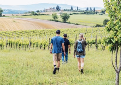 Agro-Hike & Wine & Olive Oil Tasting in Colle Val d'Elsa in Siena - 1719182eb87baf95d580a09a1db1b5d0
