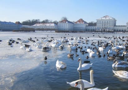 Private tour to Nymphenburg Palace in Munich - 18b818941aa6772452b477060a61b161