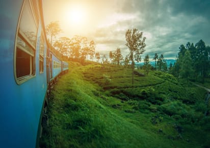 Hiking Experience - Two Magical Days in Ella in Kandy - 1a6ade42ded29dc76ff968718cad5083