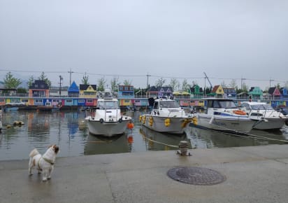Busan's Coastal Gems: Bunecia, Nakdong River Walk, and Dadaepo Beach Sunset in Busan - 20b85765a11fc6cfc9e80858d9557455