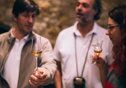 Divine Wine Tasting in Setubal - Private Day Trip in Lisbon - 20f2e3563885981362dbee066f08726b