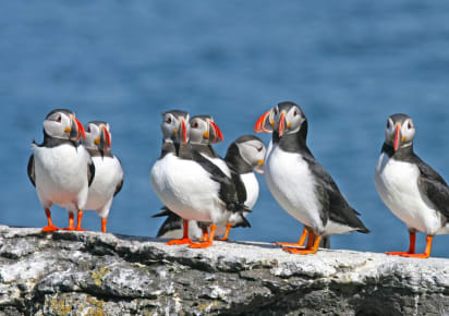 Private South Coast tour with a Local Guide in Reykjavik - 2515cab07bc4430d8ad9b949df309046