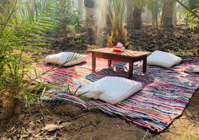 Explore Cairo's Rural Charms: Journey into the Countryside in Cairo - 2a896055262e44583d5d0d528881cd94