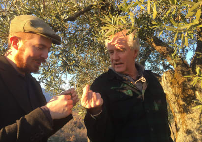 Ancient Olive Trees & Award-Winning Olive Oil Tasting Experience in Valncia - 37ac5364192f8a84fe545a69391c65ee