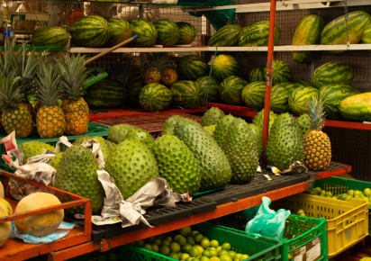 Exotic Fruit Tour at Paloqueamo Farmers Market in Bogot - 449c326fae3a7b81dc7cf79569be2e44