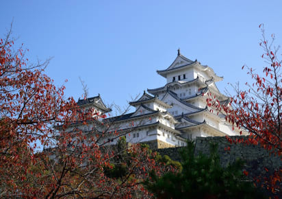 Cruise Shore Excursion: Himeji Castle & Kobe Delights in Kobe - 4a5f58c63fa17ba3e4674a3cf97f2a13