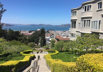 Presidio Park to Palace of Fine Arts & the Beach Tour in San Francisco - 4b808b520b0a0a92bde787d437c43688