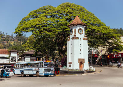 City Discovery: Kandy Day Trip in Colombo - 4c4d5e9878707eb59065453f11ee1771