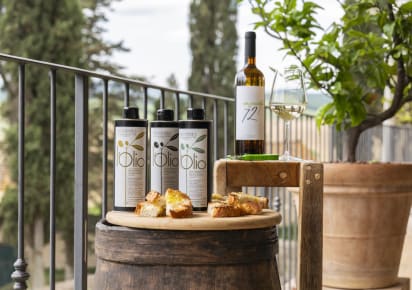 Wine and Olive Oil tasting with light lunch in a local farm in Colle Val d'Elsa in Siena - 4f42c38005332a75e27c683b726910a2