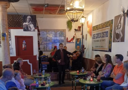 Flamenco & Tapas Night with a Local in Seville - 60c6845e921a13d5d338610f9bfb2892