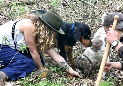 Truffle Hunt & Lunch in Italian Countryside in Rome - 66d14db2c1b287ef16d4a7414ad2857b