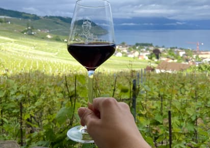 Vineyard Bliss: Discovering UNESCO-Listed Lavaux in Geneva - 67e4d6e1f0ce0675a74af4ee4110f879