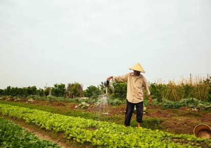 Farm tour & Cooking in Hanoi with local family in Hanoi - 6eb9db8b109b1b2baeef7bc5e6e9c5cd