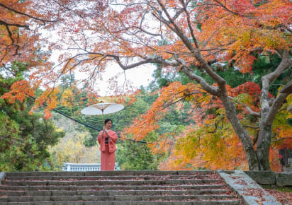 City Explorer: Nara Day Trip in Kyoto - 783167a3f943530df7aacf0992b3fc85