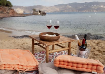 Seaside Sips: Wine Tasting with Ancient Greek Varieties in Mykonos - 8399ced5f7ad7908b4653fe954882b11