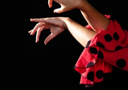 Sacromonte Flamenco Encounter: Live Show and Dinner within a Cave Setting in Granada - 892ae06aa9544d8e9789ca71afb7c3de
