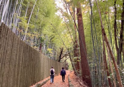 Discovering Tranquil Nature and Hidden Gems in Kanazawa - 8e2fe50ee7c6bcf2775c7c5e51b5657c