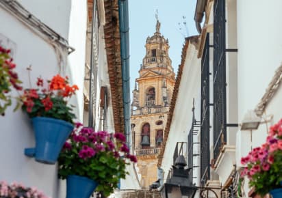 City Discovery: Carmona & Cordoba Day Trip in Seville - 910c466230e594fb68a34c951af2e5c6