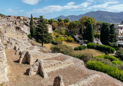 A Day in Pompeii Tour with an Archeologist in Naples - 9b5ad714599ab648f3edbc478135cae3