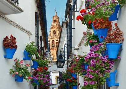 Highlights & Hidden Gems of Cordoba in Cordoba - Cordoba_HHG2_bt40de