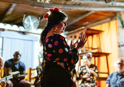 The Ultimate Flamenco Experience with a local Dancer  in Seville - ac93b5446de98a6bd4a6bad3a57dfdcf