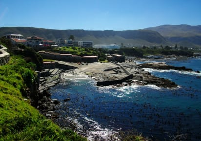 Cape Town's Whales & Wine day trip with Seafood Lunch in Cape Town - b07e5edd0ac7b658f350770c92c618f7